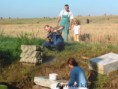 /album/renovace-krize-zavlaha-ii-/a010-jpg/