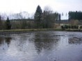 /album/vylov-kazilka-ii-31-3-2012/dscf0988-jpg/