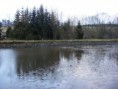 /album/vylov-kazilka-ii-31-3-2012/dscf0989-jpg/