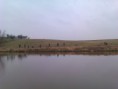 /album/vylov-karaska-7-4-2012/imag0351-jpg/