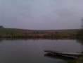 /album/vylov-karaska-7-4-2012/imag0352-jpg/