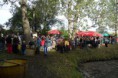 /album/svatovaclavsky-vylov-29-9-2012/sam-5969-jpg/